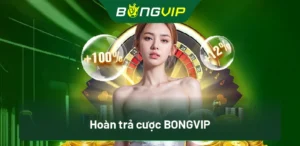 Quy Trình Hoàn Trả Cược BongVip: Cách Để Nhận Lại Tiền Thắng 7 Hoàn trả cược BongVip