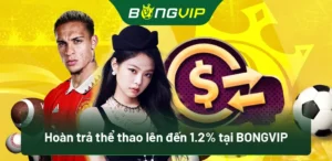 Hoàn Trả Thể Thao Lên Đến 1.2% Tại Bongvip: Cơ Hội Không Thể Bỏ Lỡ! 5 Hoàn trả thể thao lên đến 1.2% tại BongVip