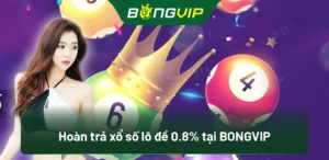Nhận Hoàn Trả 0.8% Mỗi Ngày Từ Xổ Số Lô Đề Bongvip 6 Hoàn trả xổ số lô đề 0.8% tại BongVip